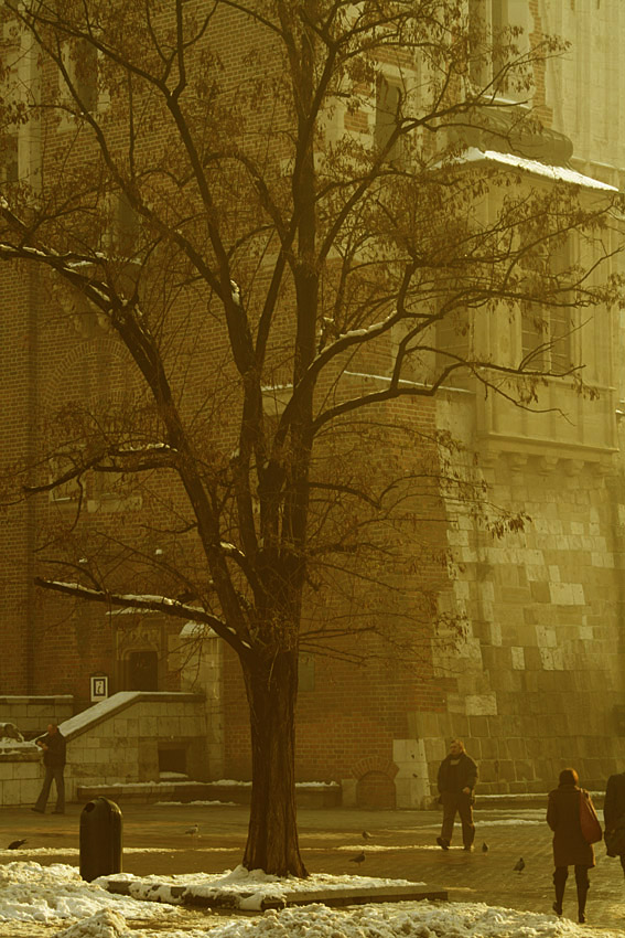 przechodząc przez Rynek