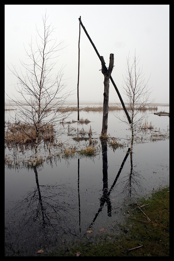 zagubiona na mokradłach...biebrzańskie klimaty...odsłona 1