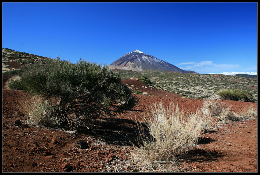 Pico del Teide