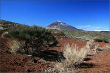 Pico del Teide