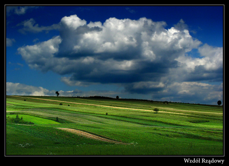 Wzdół Rządowy