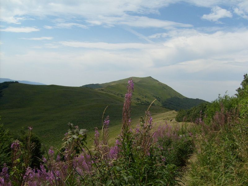 Połonina Bieszczady