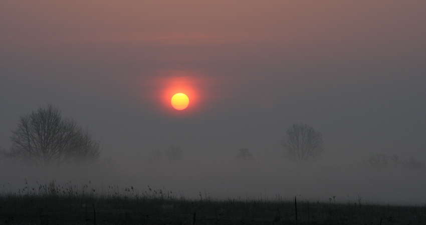 Wczesny ranek nad Wartą