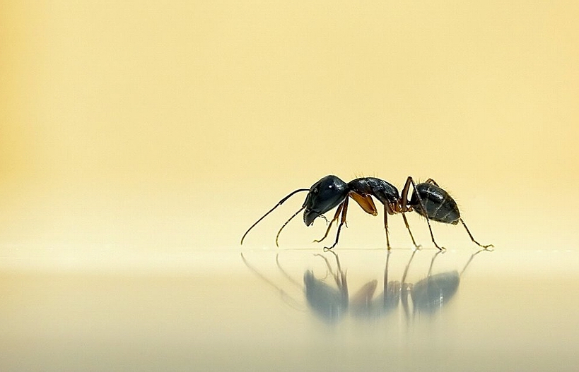 Porzucona panna młoda.