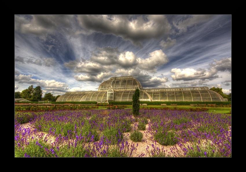 Kew Gardens - Palm House