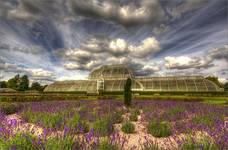 Kew Gardens - Palm House