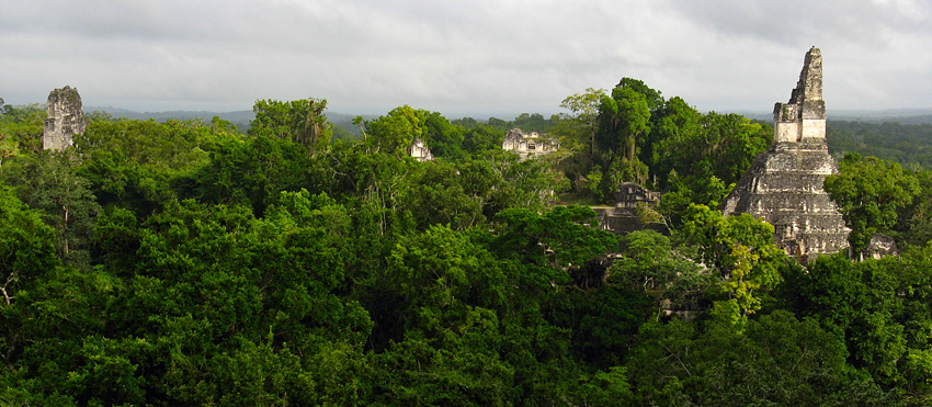 Tikal