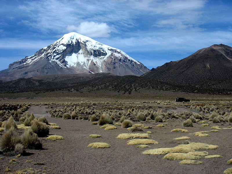 Sajama