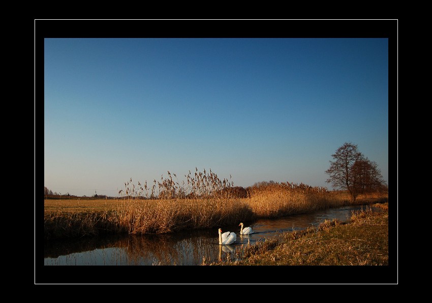 Podlasie wiosną