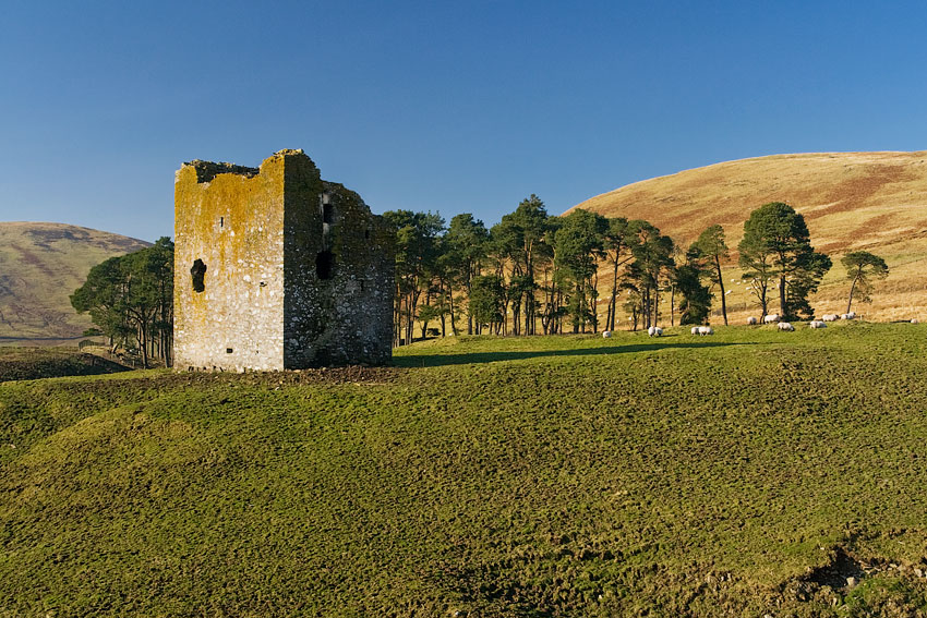 Dryhope Tower, Pogranicze, Szkocja