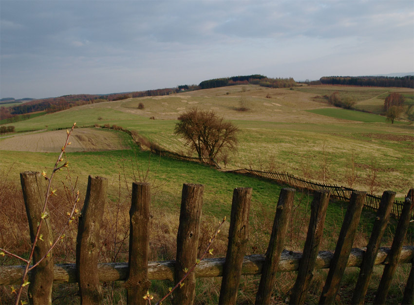 Krzywy płot