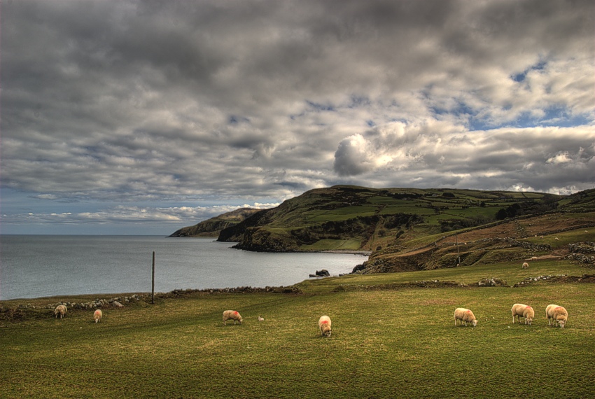 Torr Head