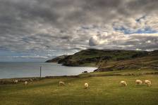 Torr Head