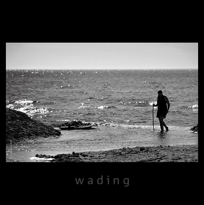 Wading