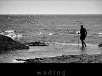 Wading