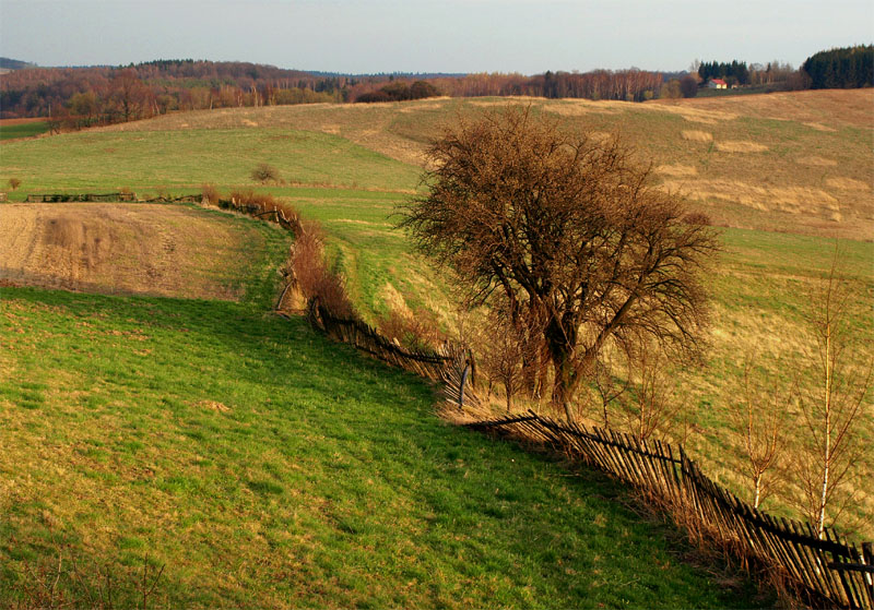 Krzywy płot raz jeszcze :)