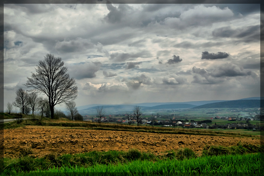 pejzaż