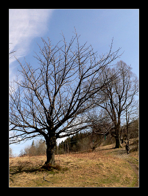 Beskid Śląski 2