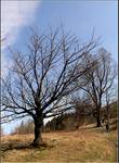 Beskid Śląski 2