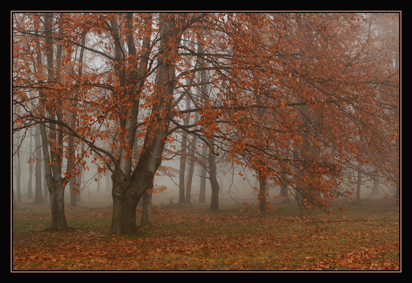 Dla tych co lubią jesień