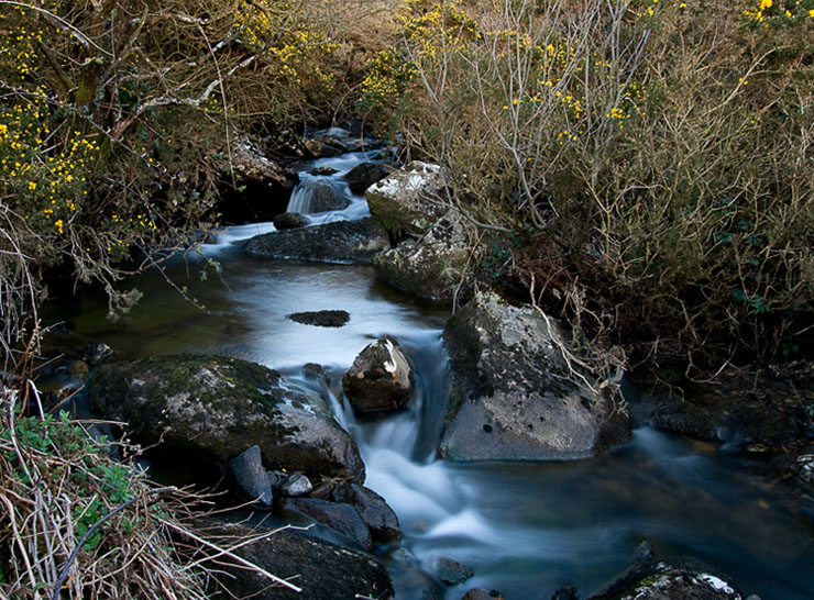 W dolinie Cwm Gwaun