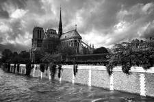 Cathédrale Notre Dame de Paris