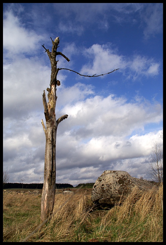 bez tytułu