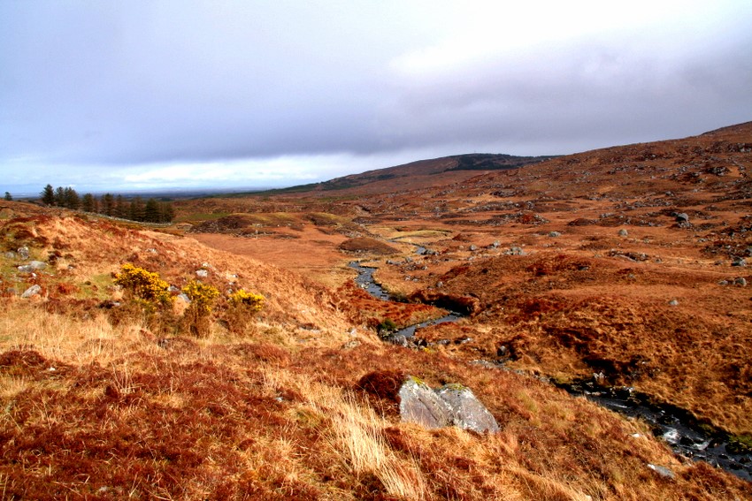 Connemara