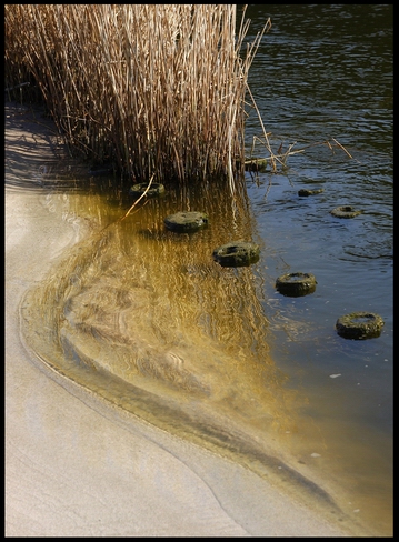 plaża