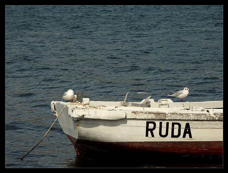 RUDA