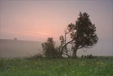 Beskid Niski. Poranek.