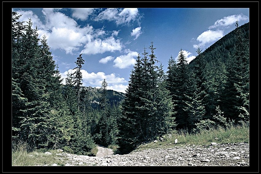 Tatry