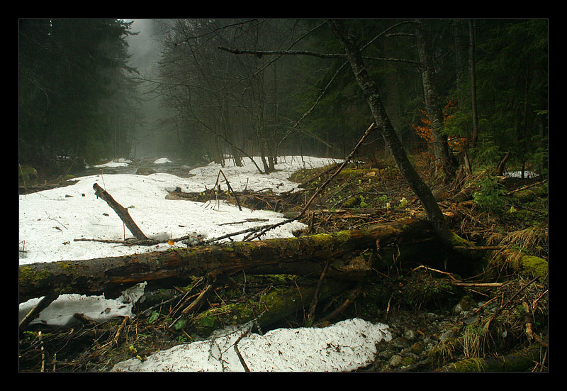 Tatry * 01