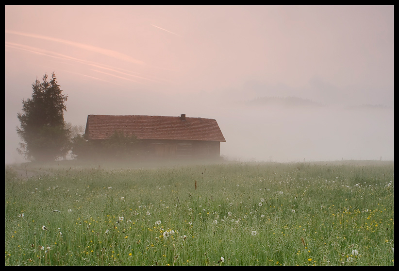 Beskid Niski. Poranek.