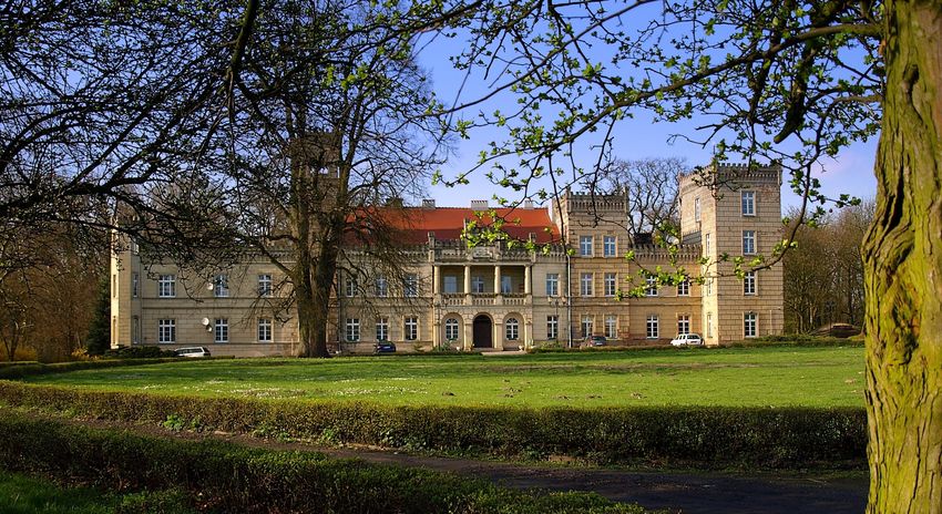 Pałac -Dom Dziecka w Gościeszynie