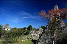 Tikal