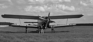 AN-2