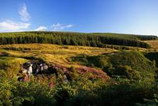 Loup of Fintry