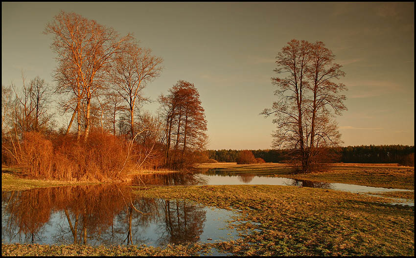 Przedwiośnie