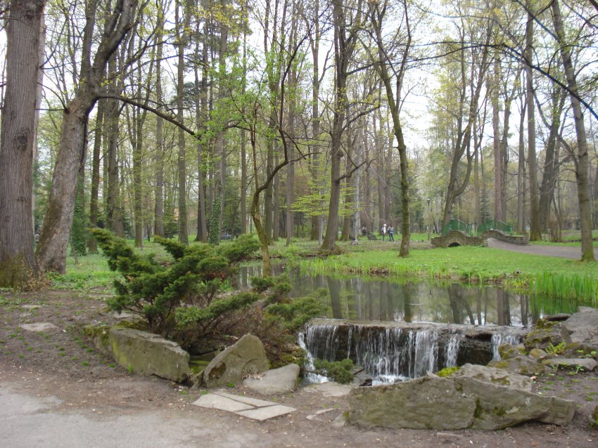 Park w Żywcu