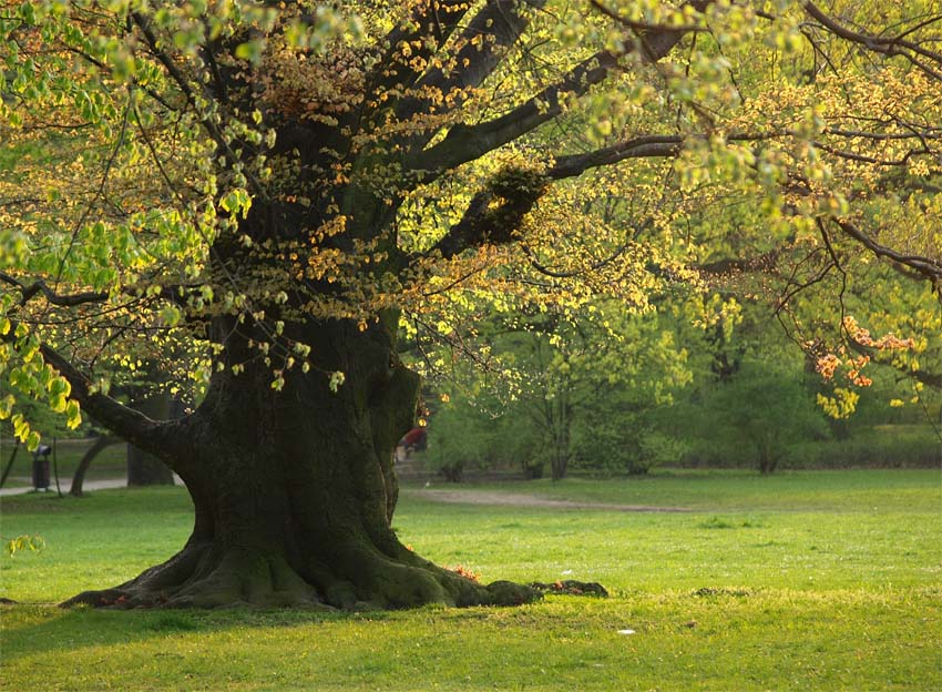 Wrocław Park Południowy