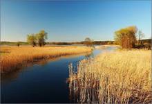 Mazury