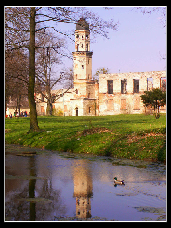 Ruiny zamku w Strzelcach Opolskich