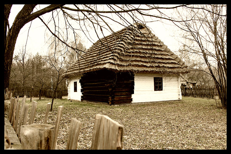 szarość