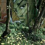 Graffiti in green