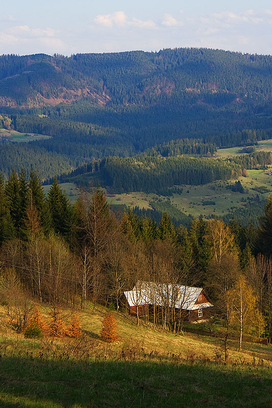 Przedwiośnie - Beskid Żywiecki