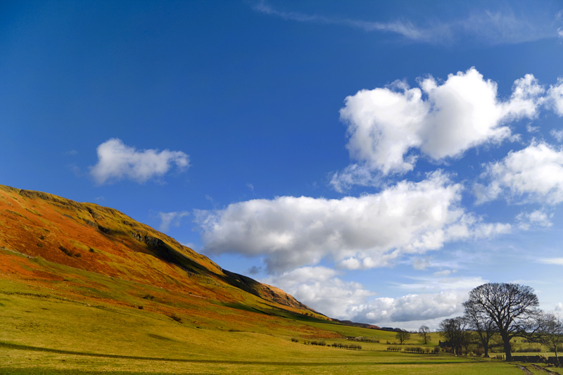 Campsie Glen 1