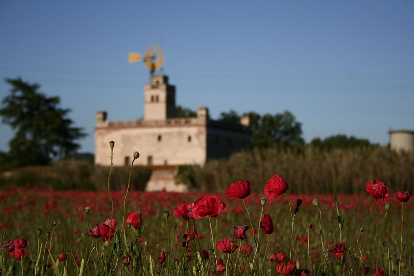 Camp de Roselles