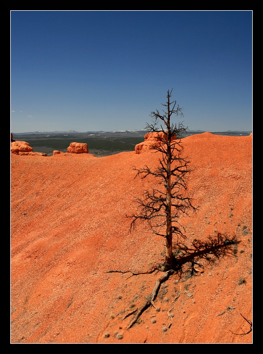 Red Canyon