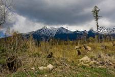 tatry słowackie